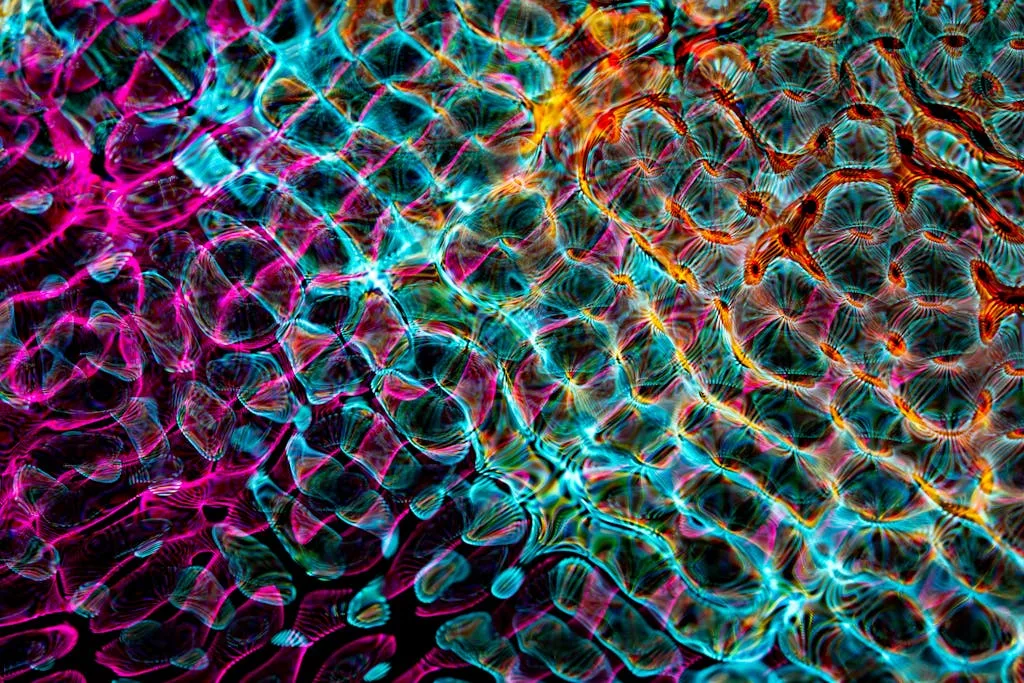 A vibrant abstract image featuring dynamic colors and intricate patterns, perfect for modern art enthusiasts.